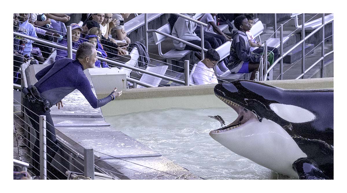 SeaWorld Orlando