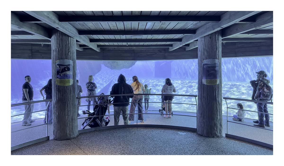 SeaWorld Orlando