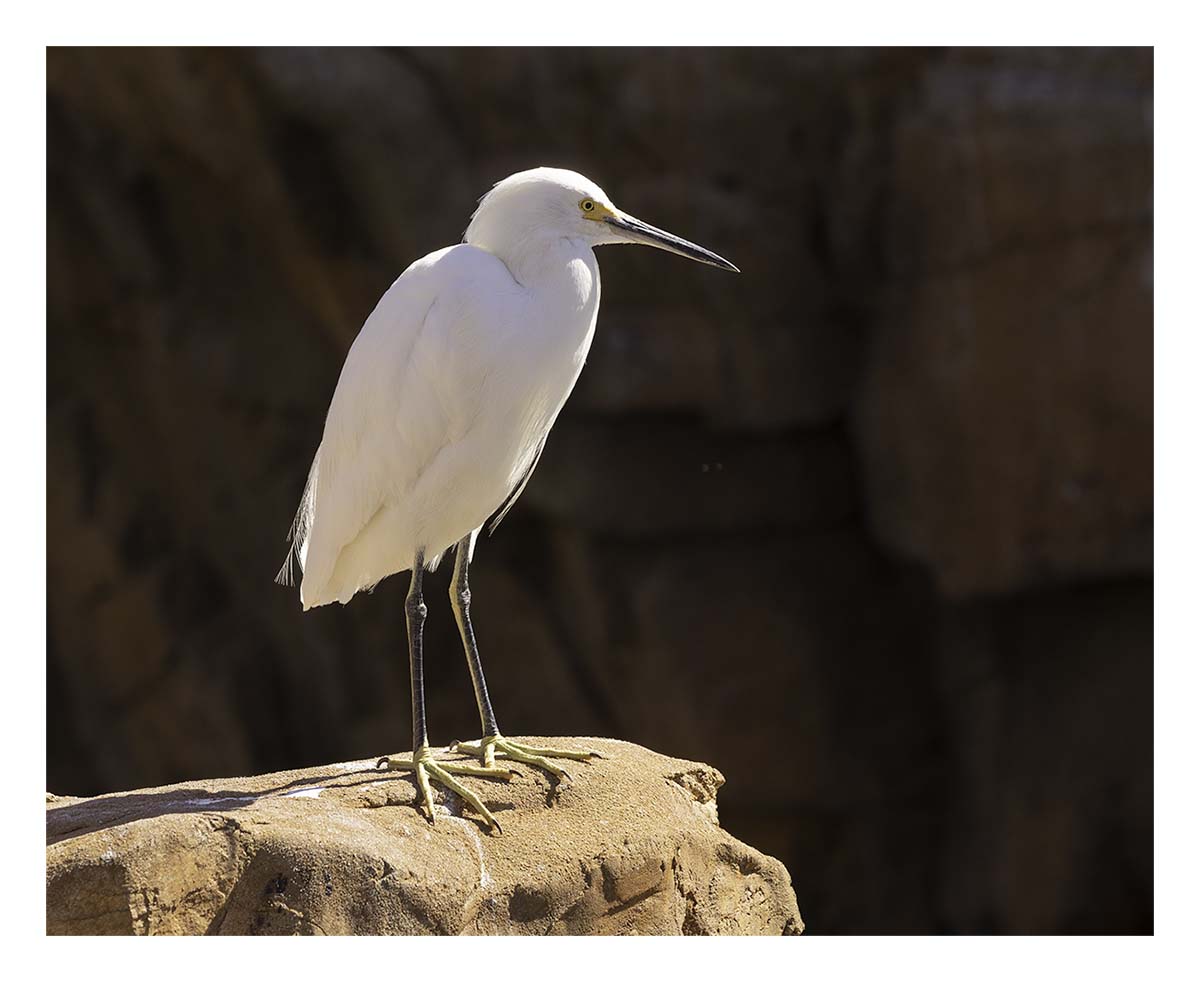 SeaWorld Orlando