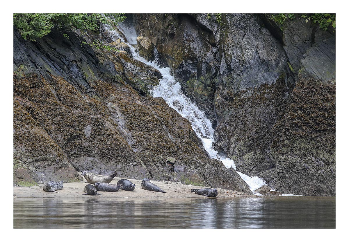 Seals