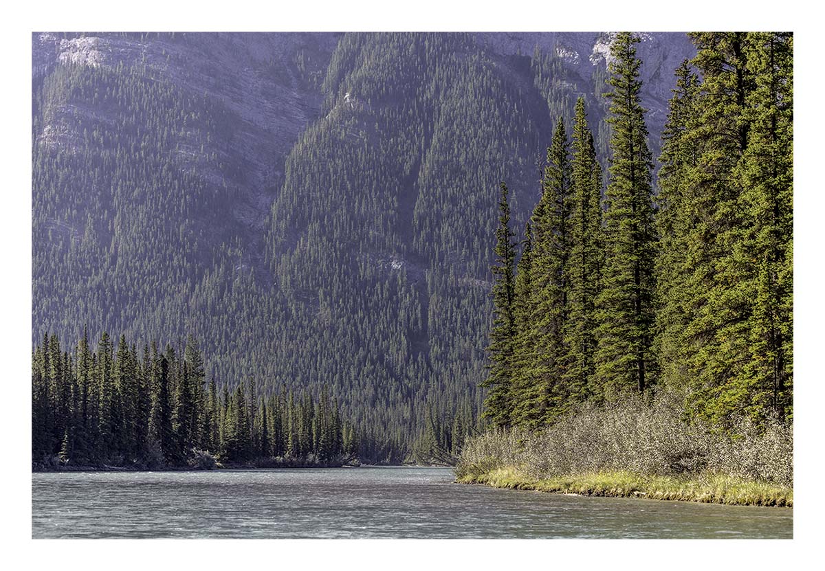 Banff National Park