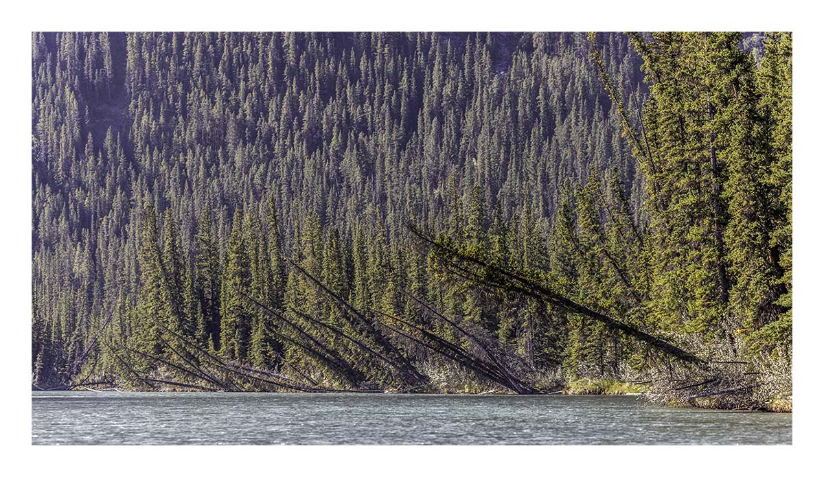 Banff National Park