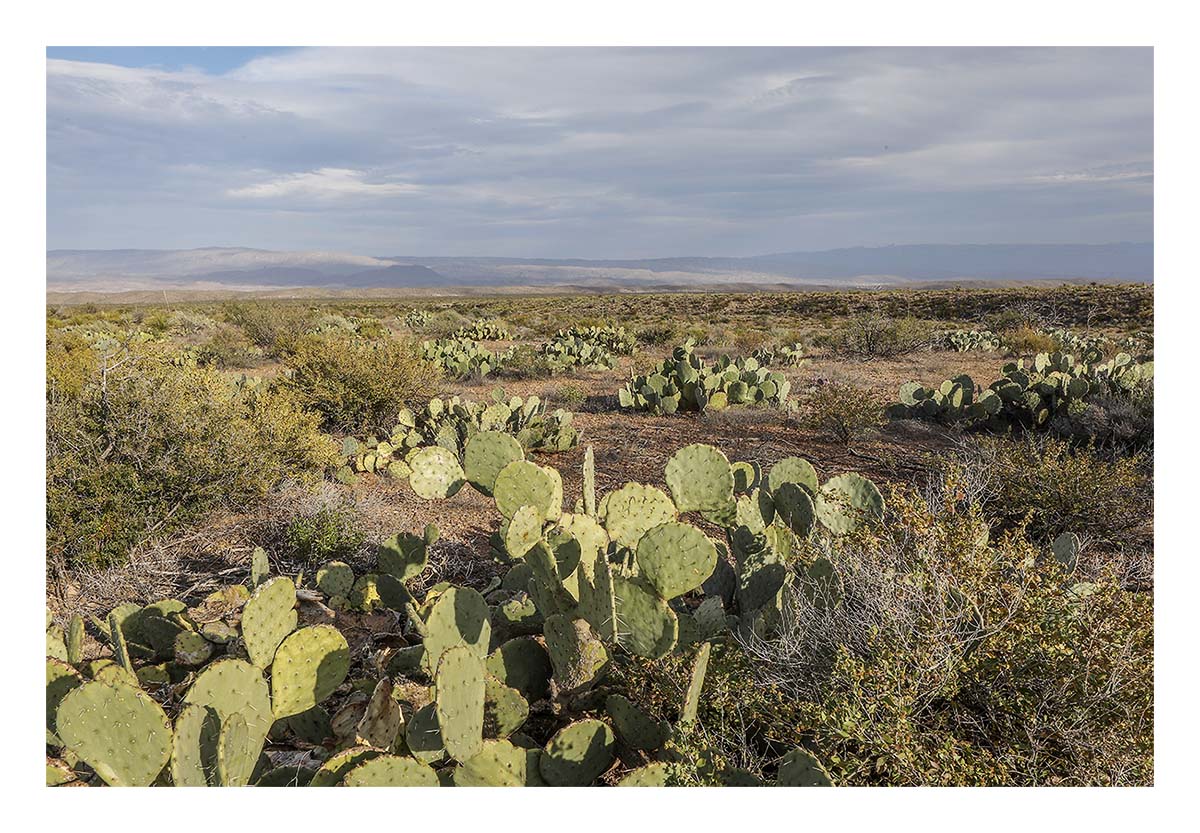 Big Bend